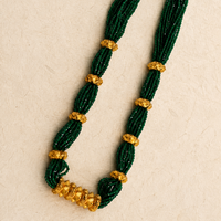 Naugedi Tilhari Fusion