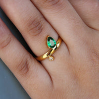 Saanjh Ring