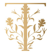 Troveya logo